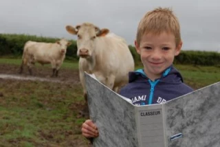On va voir les vaches ?