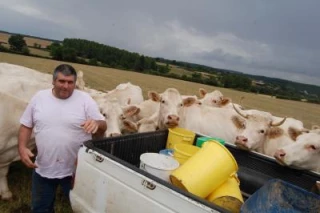 Craintes sur le blé et l’élevage