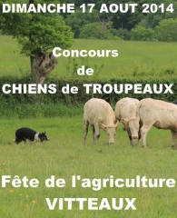 Les chiens à l’épreuve des bovins