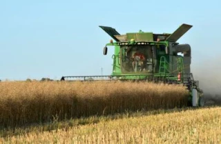 De bons rendements en Bourgogne malgré une météo capricieuse au moment de la récolte