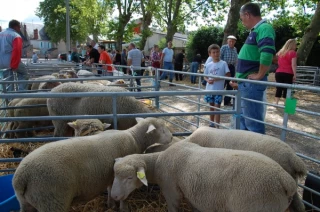 Les villes du monde avaient rendez-vous avec le Morvan