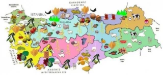 Pour mieux comprendre le marché turc