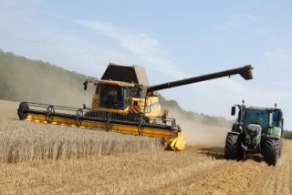 La germination «casse tout»…