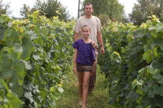 Le vin pour oublier le cassis ?