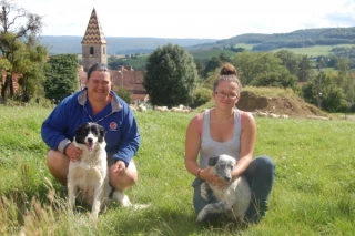Sombernon capitale du Border Collie