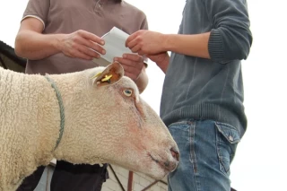 La négociation, partie intégrante du métier