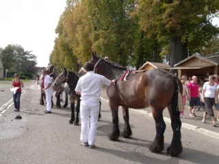 La relève est assurée