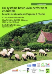 9ème rencontre technique régionale ovine à Crux-la-Ville (58)