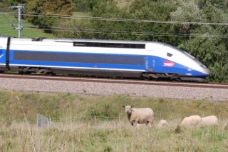 La Côte d’Or ne s’est pas trompée de train