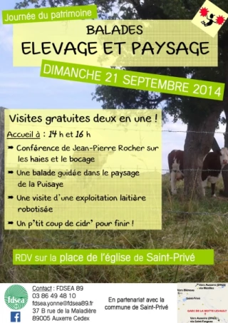 Balade Elevage et Paysage en Puisaye