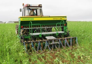Démonstration de semis sous couvert à Venizy