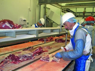 La filière viande recrute et s’ouvre à tous