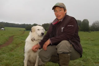 Réunis autour du Border Collie