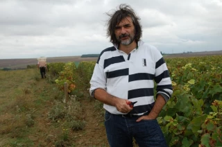 Une belle qualité de raisin…