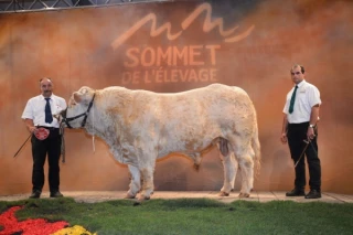 «Les cours ne sont pas à la hauteur pour autant» !