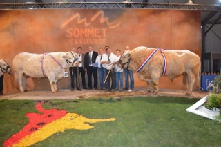 Prix de Championnat et palmarès charolais 