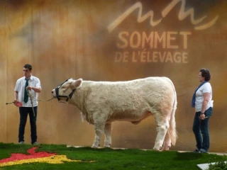 Brillons malgré la crise