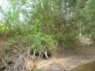 L’entretien de La Cressonne, en bonne entente avec l’administration