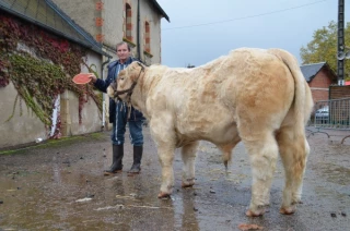 «La météo pluvieuse accentue  le sentiment de morosité générale»