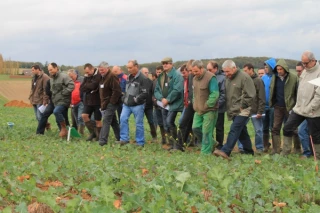 Après-midi colza à Egriselles-le-Bocage