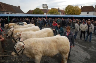 Moindre participation, «à l’instar de tous les autres concours»