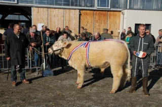 L’affluence des grands jours à la Grande halle