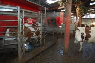 Passage au robot réussi