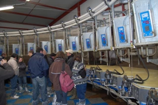 Un outil pour traire 160 vaches