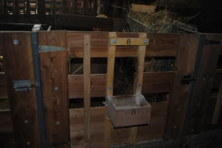 Des cases d’agnelage toutes équipées