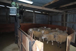 Le berger futé : la deuxième édition du concours astuces