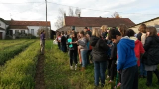 Les collégiens à la découverte des métiers de l’agriculture