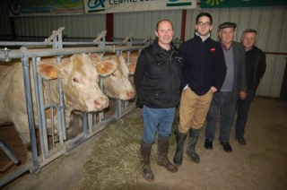 «Assez peu de JA sur ce vaste canton»