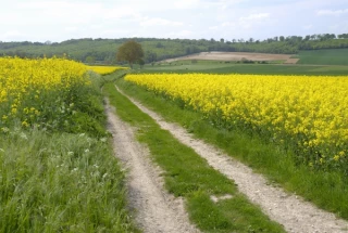 Chemin rural ou chemin d’exploitation