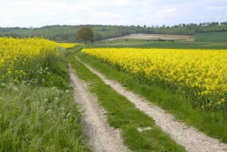 Chemin rural ou chemin d’exploitation