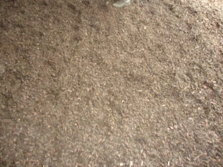 La Chambre d’agriculture enregistre les premiers effets positifs