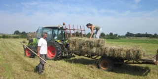 Obligations des maîtres de stage