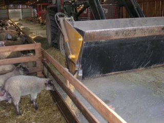 Des graines de soja ou  de colza à la place des céréales