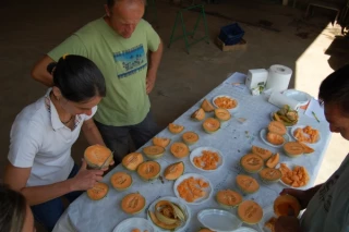 Un travail qui porte ses fruits