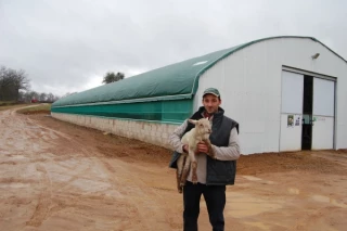 Ovins Le tunnel reste le moins cher