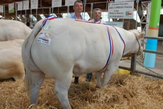 Le prix Vallée débarque à Pouilly
