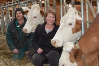 La Simmental en pleine progression