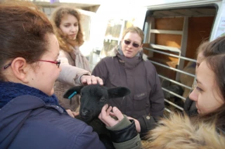 Des collégiens sensibilisés aux circuits courts