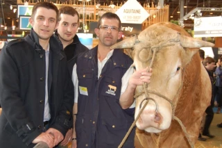Bovins allaitants : pour toi, Arnaud