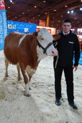 Bovins laitiers : les jeunes au rendez-vous