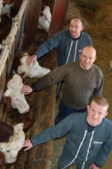 Ils misent sur le lait