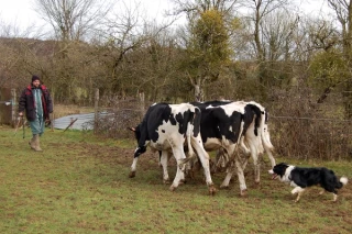 Une formation qui a «du chien!» 