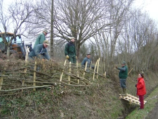 Le mois de la Pléchie en Morvan