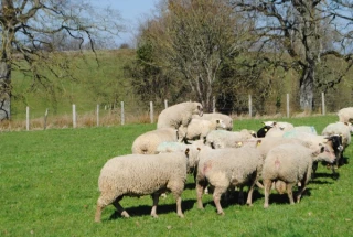 Pas moins de 40 jours de lutte au printemps