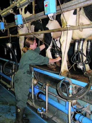 Indemnité de stage : de plus en plus complexe