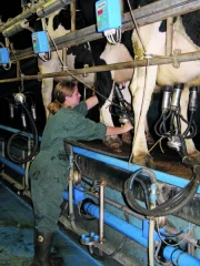 Indemnité de stage :  de plus en plus complexe